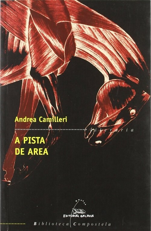 A PISTA DE AREA (Paperback)
