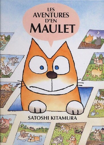 LES AVENTURES DEN MAULET (Paperback)