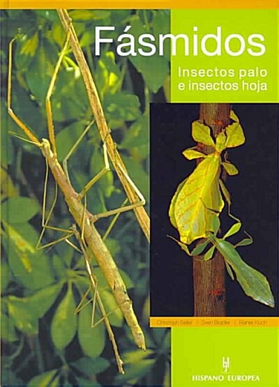 FASMIDOS. INSECTOS PALO E INSECTOSHOJA (Hardcover)