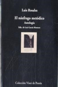 EL NAUFRAGO METODICO (Paperback)