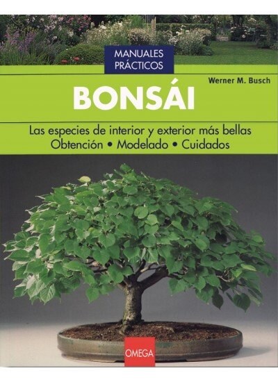 BONSAI (Paperback)