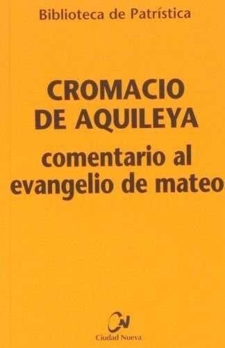 COMENTARIOS AL EVANGELIO DE MATEO (Paperback)