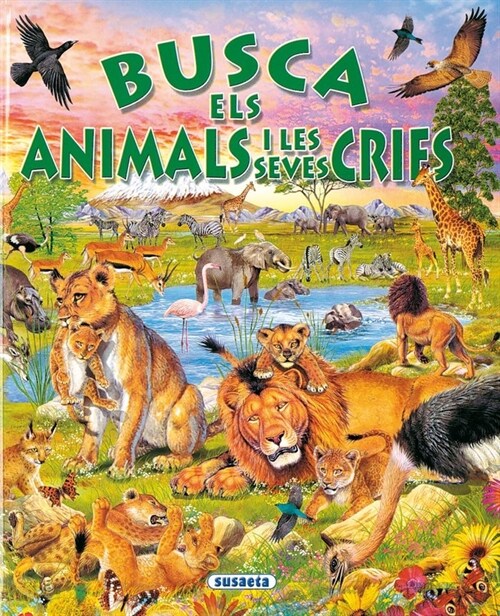 BUSCA ELS ANIMALS I LES SEVES CRIES (Hardcover)