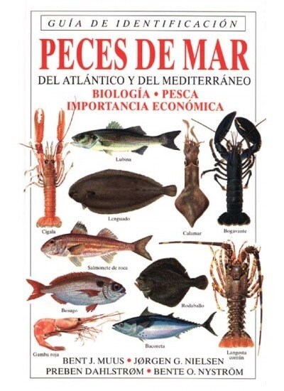 GUIA DE IDENTIFICACION. PECES DE MAR DEL ATLANTICO Y DEL MEDITERRANEOBIOLOGIA PESCA IMPORTANCIA ECONOMIC (Paperback)