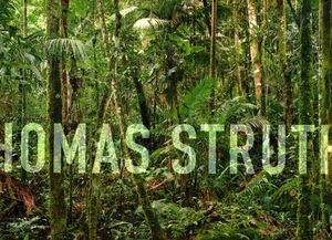 THOMAS STRUTH: NEW PICTURES FROM PARADISE (Paperback)