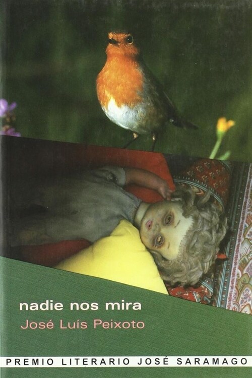 NADIE NOS MIRA (Paperback)