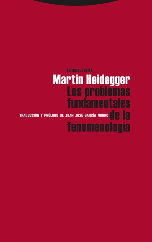 PROBLEMAS FUNDAMENTALES DE LAFENOMENOLOGIA (Paperback)