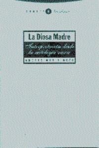 DIOSA MADRE (Paperback)