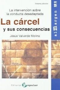 LA CARCEL Y SUS CONSECUENCIAS: LA INTERVENCION SOBRE LA CONDUCTA DESADAPTADA (Paperback)