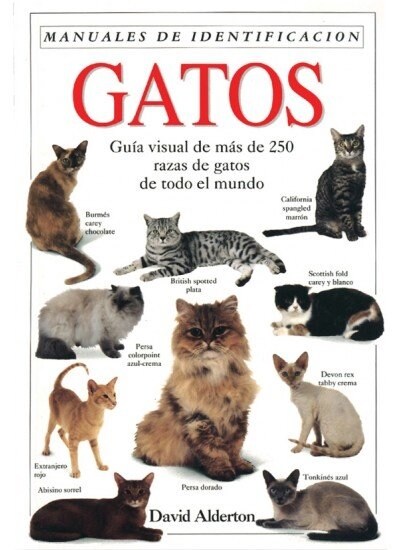 GATOS : UNA GUIA VISUAL (Paperback)