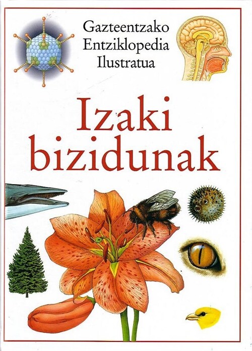 IZAKI BIZIDUNAK (Hardcover)