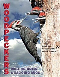 Woodpeckers: Drilling Holes and Bagging Bugs (Hardcover)