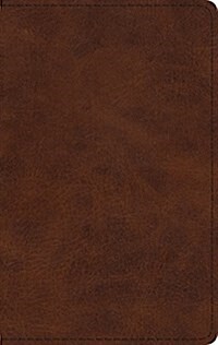 ESV Large Print Thinline Bible (Trutone, Deep Brown) (Imitation Leather)