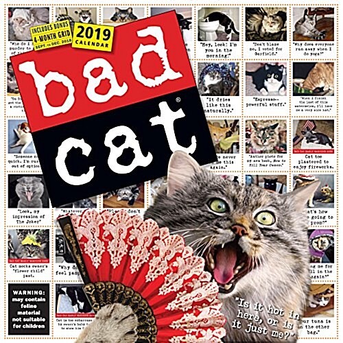 Bad Cat Wall Calendar 2019 (Wall)