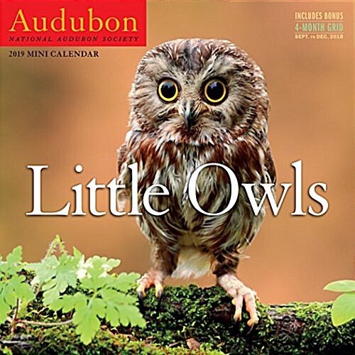 Audubon Little Owls Mini Wall Calendar 2019 (Mini)