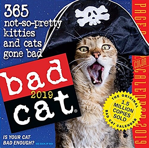 Bad Cat Page-A-Day Calendar 2019 (Daily)