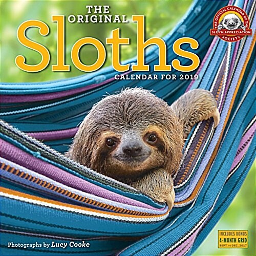 The Original Sloths Wall Calendar 2019 (Wall)