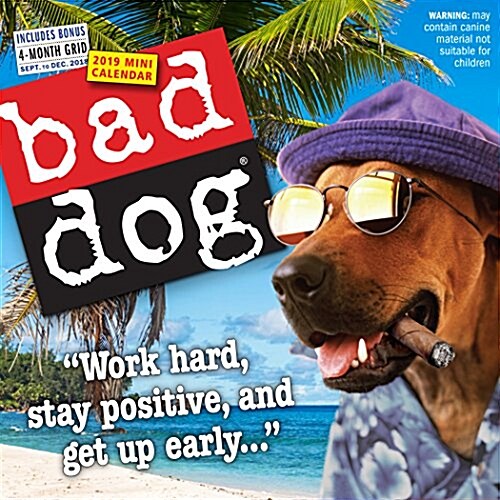 Bad Dog Mini Wall Calendar 2019 (Mini)