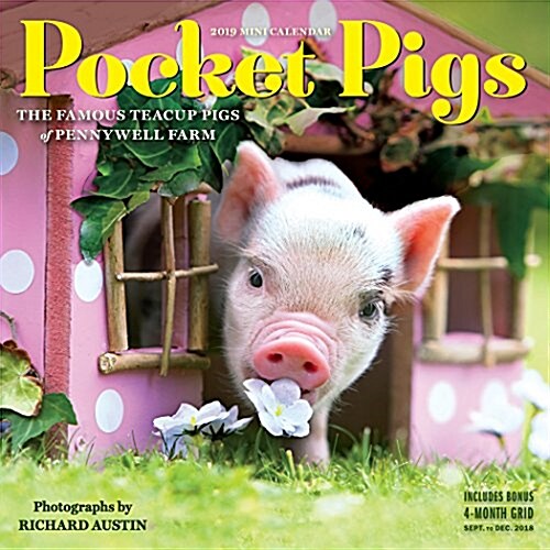 Pocket Pigs Mini Wall Calendar 2019: The Famous Teacup Pigs of Pennywell Farm (Mini)