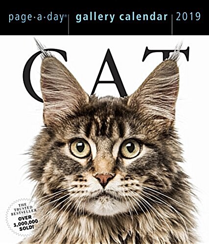 Cat Page-A-Day Gallery Calendar 2019 (Daily)
