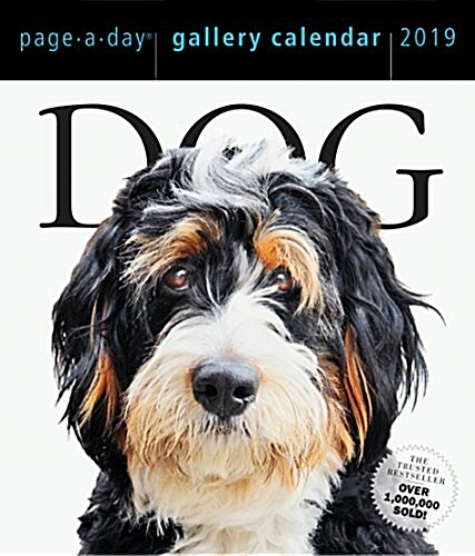 Dog Page-A-Day Gallery Calendar 2019 (Daily)