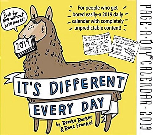 Its Different Every Day Page-A-Day Calendar 2019 (Daily)