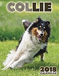 Collie 2018 Calendar (Paperback)