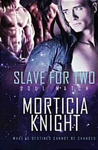 Slave for Two (Paperback)