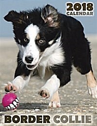 Border Collie 2018 Calendar (Paperback)