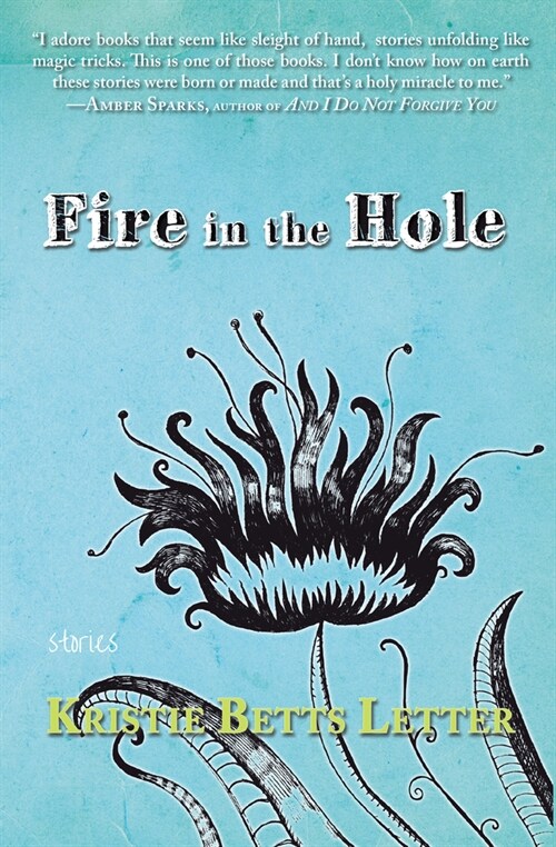 Fire in the Hole (Paperback)