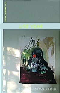Lite Year (Paperback)