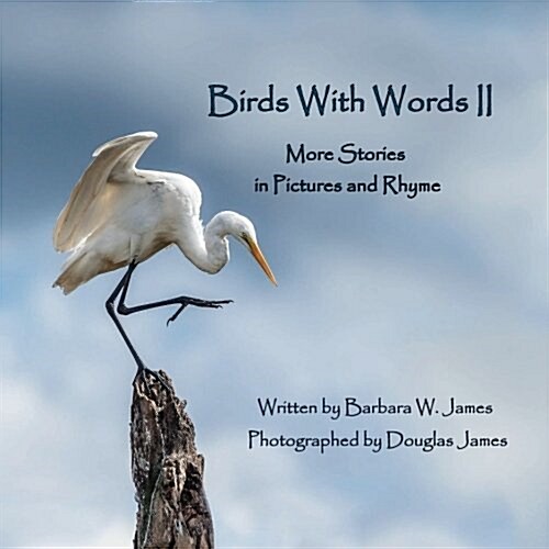 Birds with Words II: More Stories in Pictures and Rhyme (Paperback)