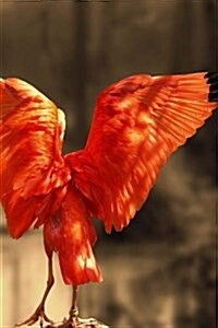 Majestic Scarlet Red Ibis Notebook: 150 Lined Pages, Glossy Softcover, 6 X 9 (Paperback)