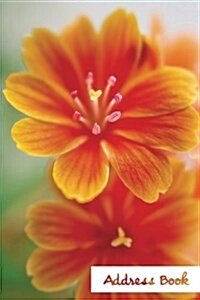 Address Book.: (Flower Edition Vol. D47) Glossy And Soft Cover, Large Print, Font, 6 x 9 For Contacts, Addresses, Phone Numbers, Em (Paperback)