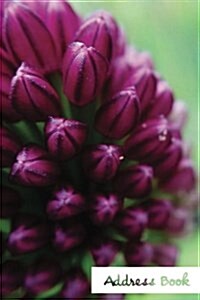 Address Book.: (Flower Edition Vol. D63) Glossy And Soft Cover, Large Print, Font, 6 x 9 For Contacts, Addresses, Phone Numbers, Em (Paperback)