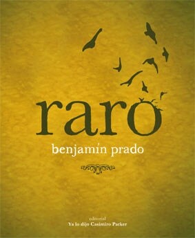 RARO (Paperback)