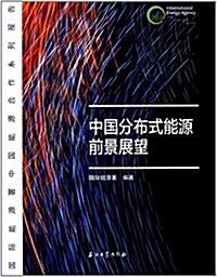 中國分布式能源前景展望 (平裝, 第1版)