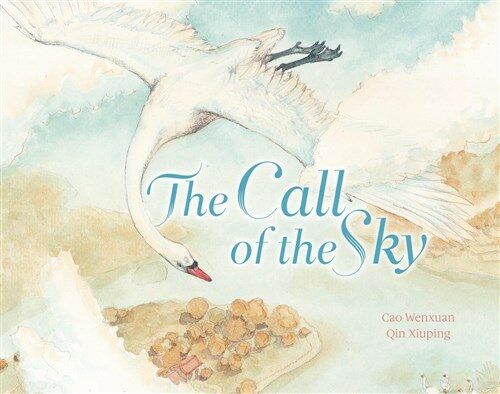 The Call of the Sky (Paperback)