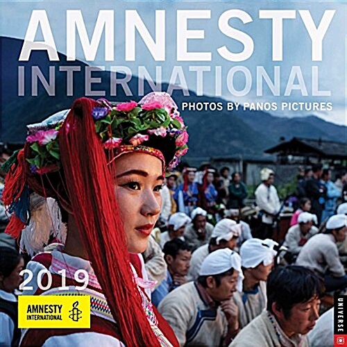 Amnesty International 2019 Wall Calendar (Wall)