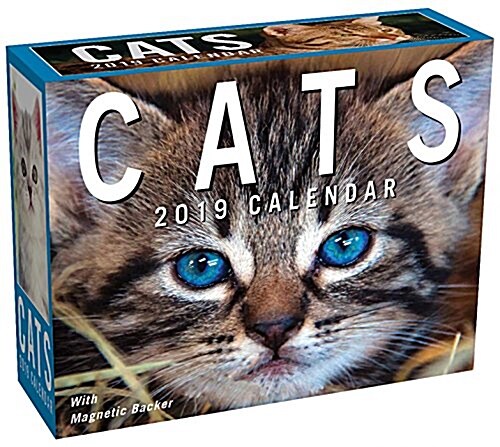 Cats 2019 Mini Day-To-Day Calendar (Daily)