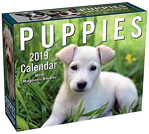 Puppies 2019 Mini Day-To-Day Calendar (Daily)