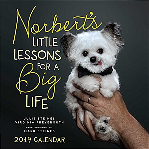 Norberts Little Lessons for a Big Life 2019 Wall Calendar (Wall)