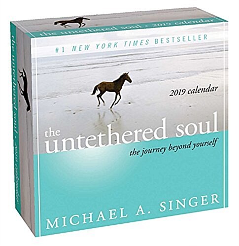 The Untethered Soul 2019 Day-To-Day Calendar: The Journey Beyond Yourself (Daily)