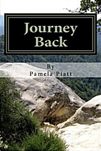 Journey Back (Paperback)