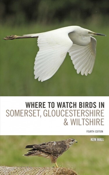 Where to Watch Birds in Somerset, Gloucestershire and Wiltshire (Paperback)