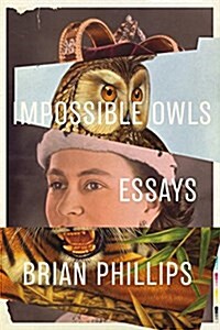 Impossible Owls: Essays (Paperback)