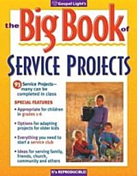 Big Book of Service Projects (Paperback, Revised)