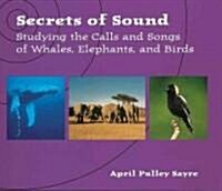 Secrets of Sound (School & Library)