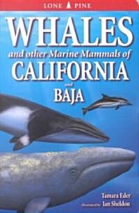Whales of California and Baja: And Other Marine Mammals (Paperback)