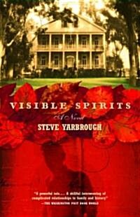Visible Spirits (Paperback)